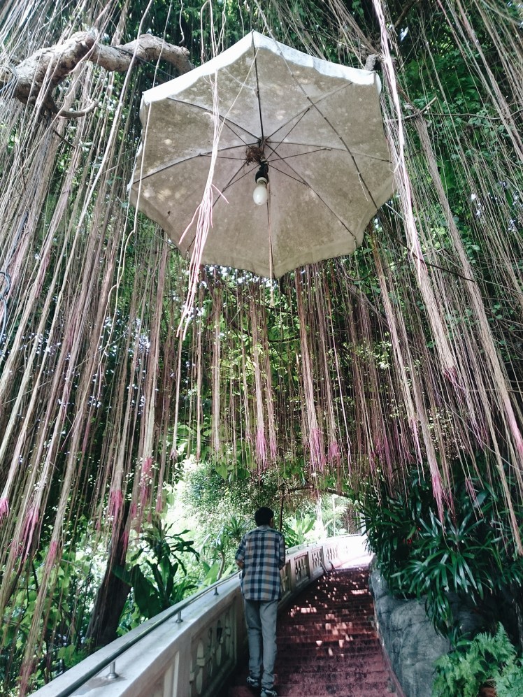 Processed with VSCO with a6 preset