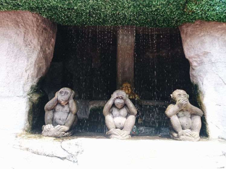 Processed with VSCO with a6 preset