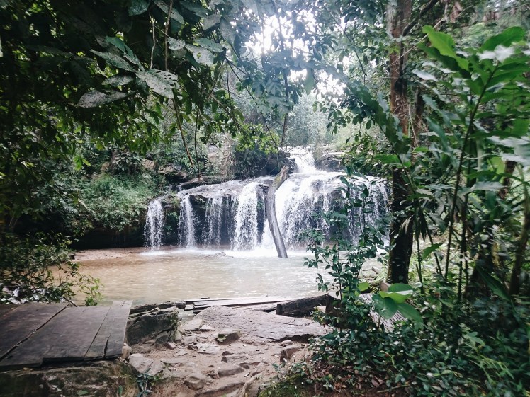 Processed with VSCO with a6 preset