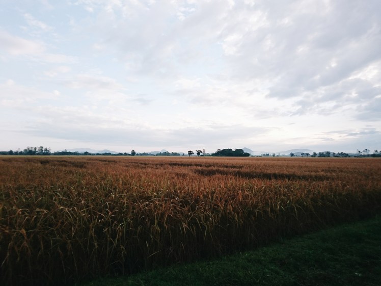 Processed with VSCO with a6 preset