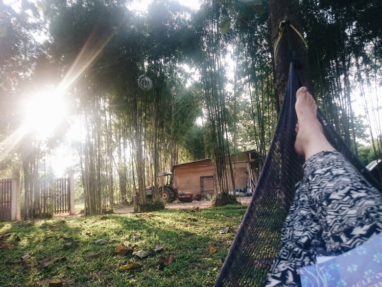 Processed with VSCO with a6 preset