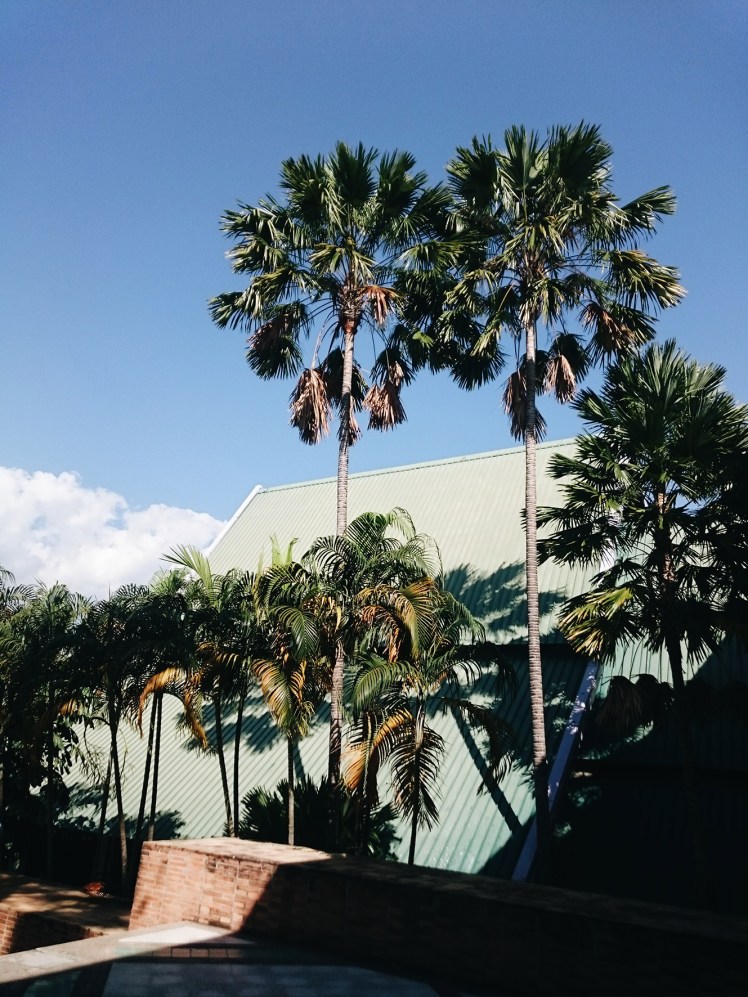 Processed with VSCO with a6 preset