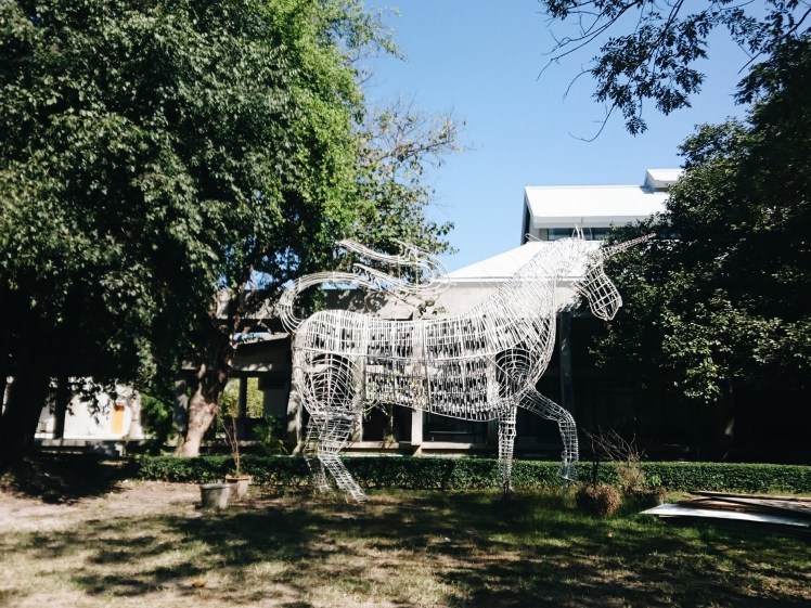 Processed with VSCO with a6 preset