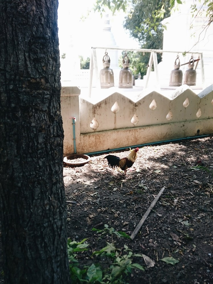 Processed with VSCO with a6 preset