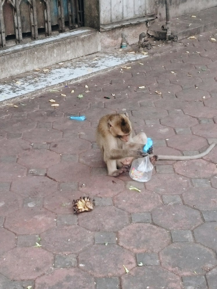 Processed with VSCO with a6 preset