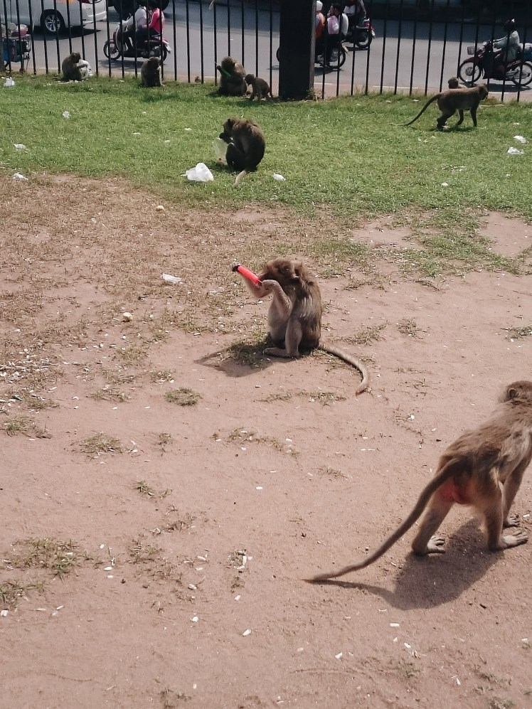 Processed with VSCO with a6 preset