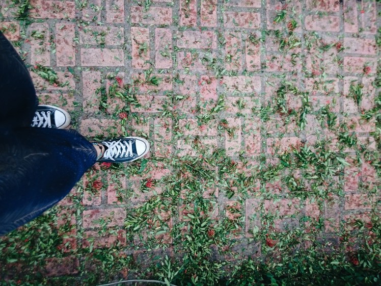 Processed with VSCO with a6 preset